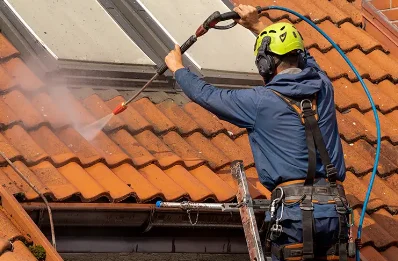 Démoussage et hydrofuge de toiture à Flexanville